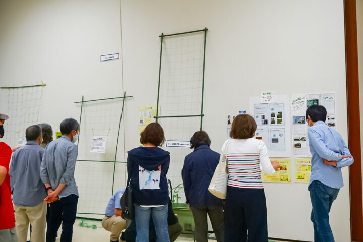 緑のカーテン説明会の様子