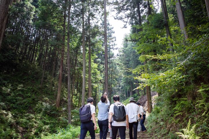 無垢フローリング材の原料となる杉が育成されている埼玉県飯能市の森林