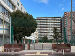 江東区立東陽中学校　約391m／徒歩5分