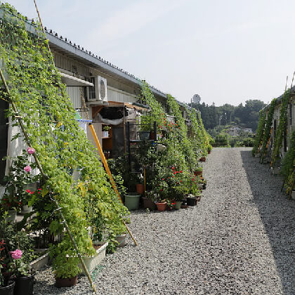 NPO法人 緑のカーテン応援団