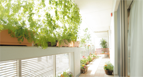 ecovillage_s2_img1