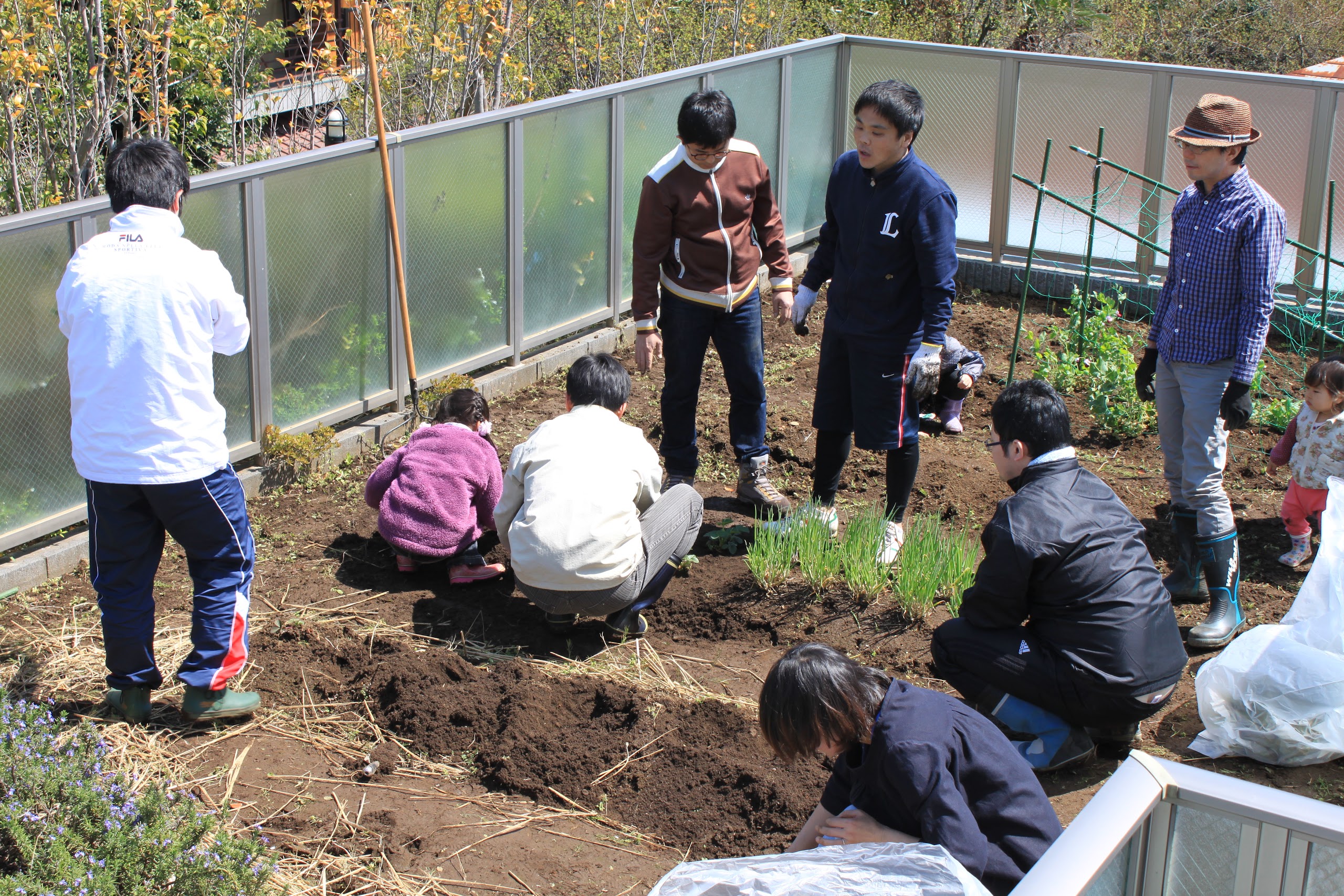 エコヴィレッジにある共有の菜園