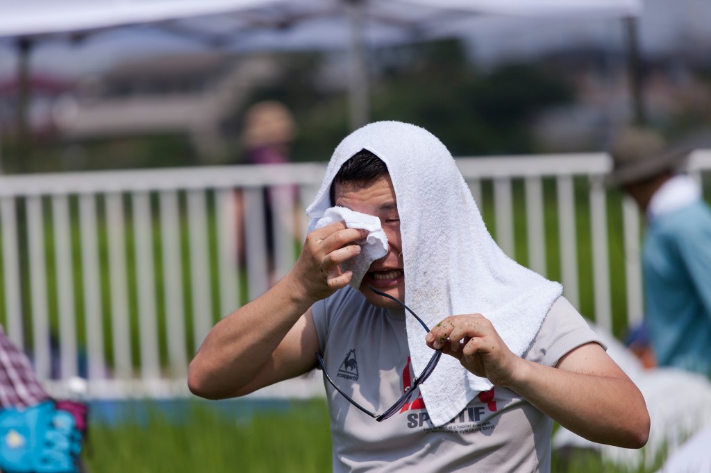 草取りの厳しさを実感。てまひまかける農家の苦労が分かります。