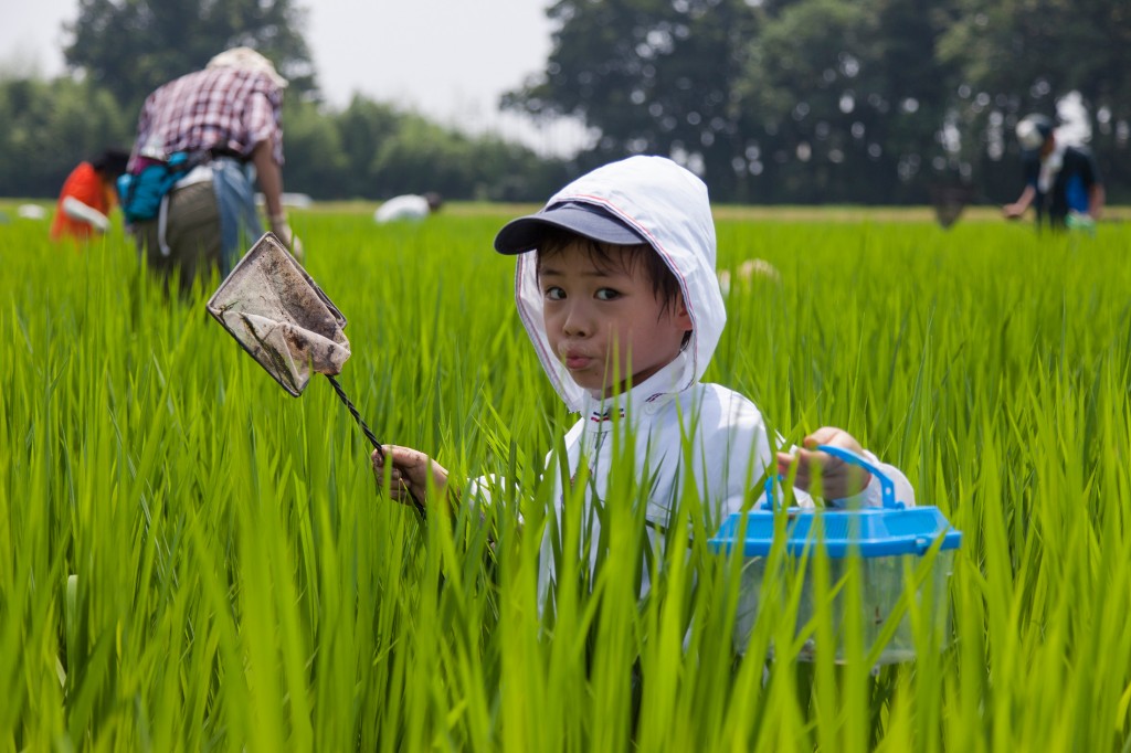 リブラン田んぼで生き物調べ！