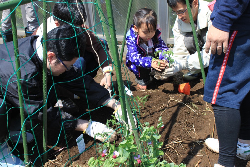 農援隊の皆さんと、お子さんも一緒に菜園で苗植え